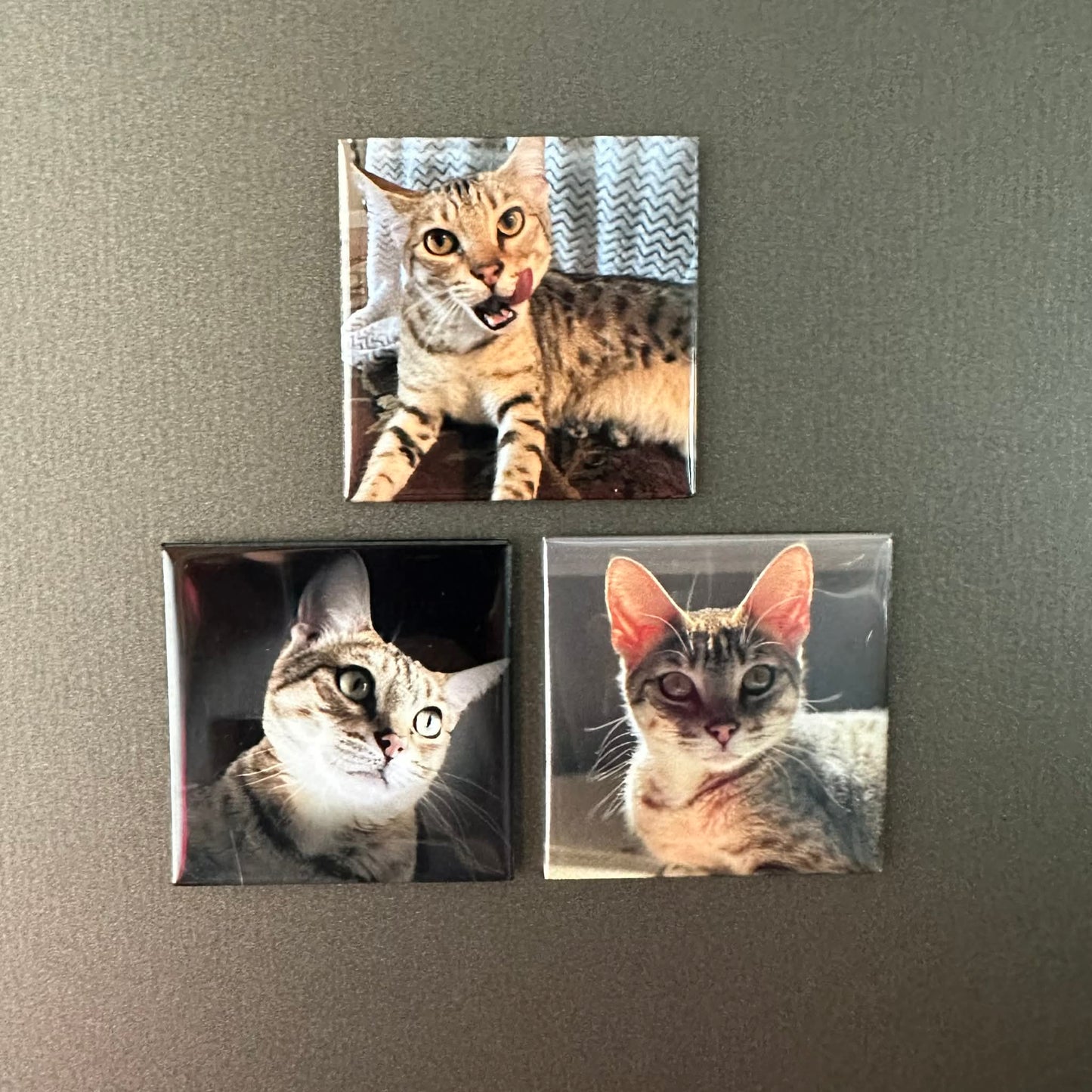 Custom fridge magnet created from customer photos