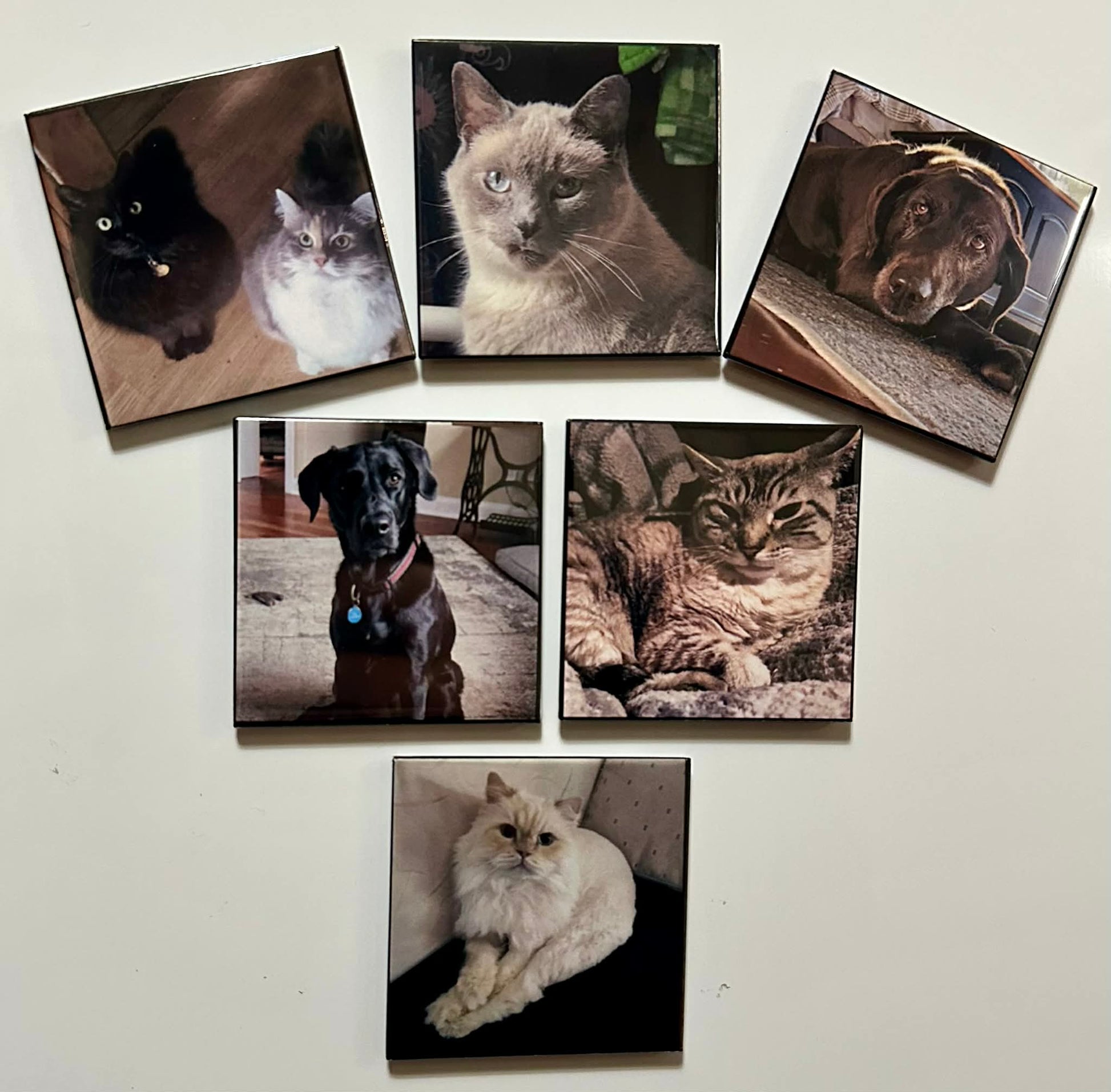 Custom fridge magnet created from customer photos
