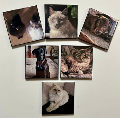 Custom fridge magnet created from customer photos
