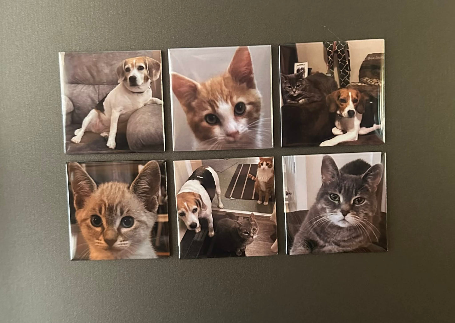 Custom fridge magnet created from customer photos