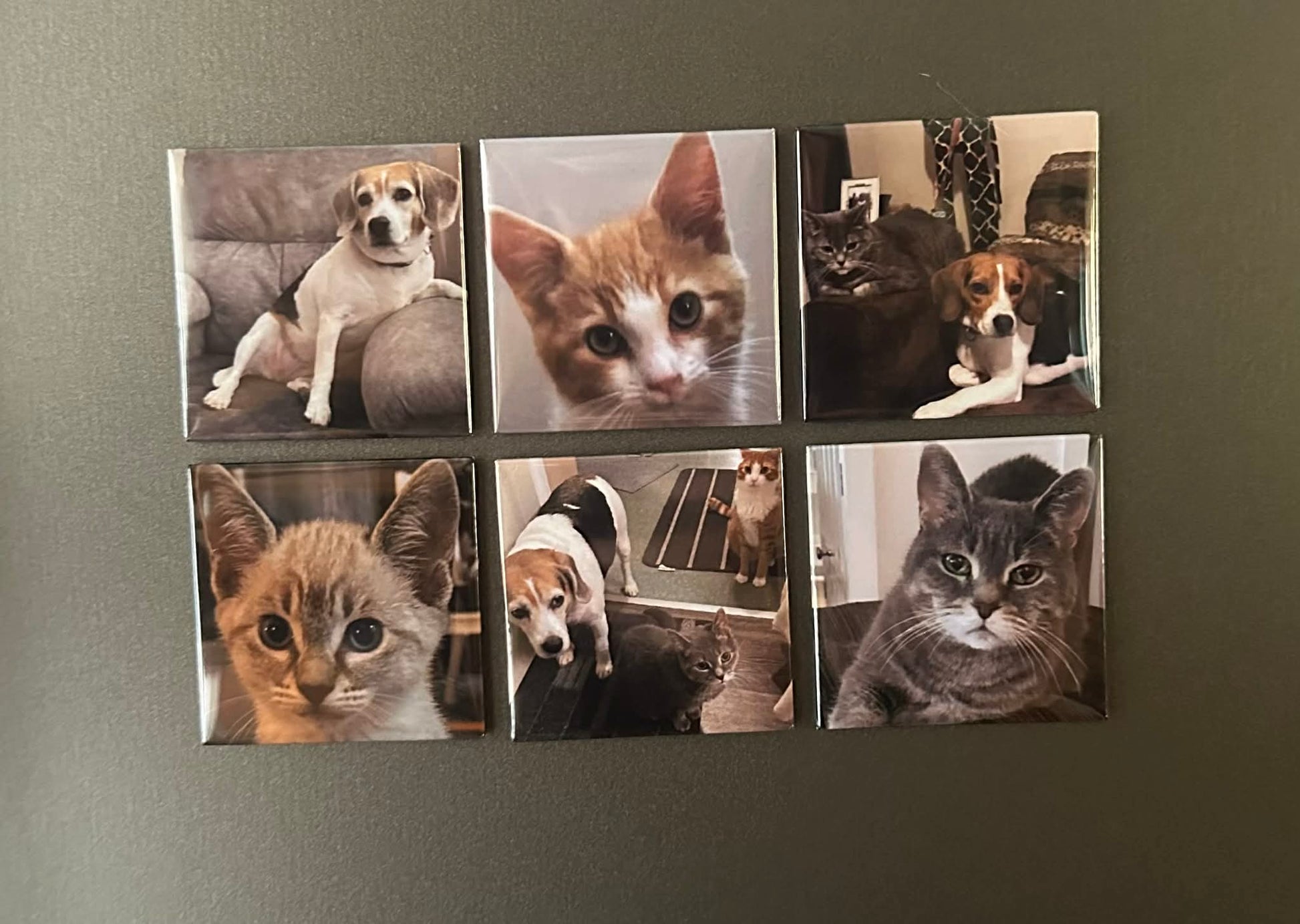 Custom fridge magnet created from customer photos